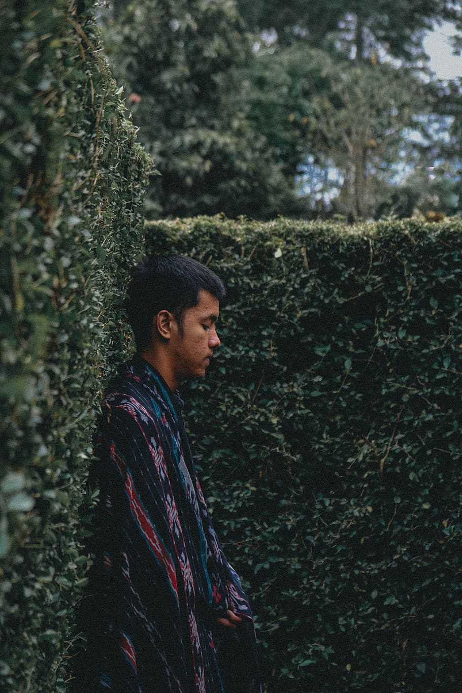 Pria menunduk, orang, orang-orang, manusia, rambut, gaya rambut afro, Abies, pohon, menanam, flora, pohon cemara, konifer, wanita, gadis, semak, vegetasi, Abu-abu, pakaian, sari, ivy, satu orang, anak muda, pria muda, orang sungguhan, kedudukan, hutan, kegiatan waktu luang, mencari, alam, tanah, pertumbuhan, memalingkan muka, tampilan samping, gaya hidup, pinggang ke atas, pakaian kasual, hari, kontemplasi, di luar rumah, gaya rambut, 5K