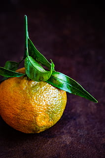 arancia, frutta, cibo, agrumi, pianta, produrre, pompelmo, ananas, lime, Clementina, fotografia di cibo, salute e benessere, mangiare e bere, stile alimentare, luce naturale, fotografia dark mood, mangiare, agrume, presentazione del cibo, delizioso, mangiare sano, cibo e bevande, freschezza, benessere, in casa, avvicinamento, girato in studio, foglia, colore arancione, natura morta, parte vegetale, colore verde, nessuno, sfondo nero, concentrarsi sulle conoscenze acquisite, antiossidante, maturo, 5K, CC0, dominio pubblico, privo di copyright