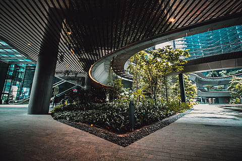træer, bygning, inde, singapore, marina et kontor, arkitektur, by-, by, plante, udendørs, kontorbygning, baldakin, markise, sti, fortov, gangbro, have, bro, indkøbscenter, kurve, moderne design, bygget struktur, indendørs, ingen mennesker, belyst, natur, dag, arkitektoniske kolonne, loft, retning, tom, træ, fravær, vejen frem, 5K, CC0, offentligt domæne, royaltyfrie