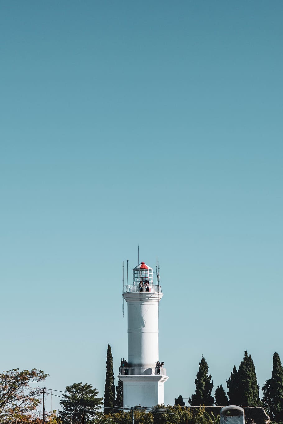 blanc, torre, envoltat, arbres, cel, cel clar, còpia espai, estructura construïda, arquitectura, exterior de l'edifici, blau, naturalesa, arbre, planta, cap gent, dia, edifici, orientació, seguretat, protecció, far, vista d’angle baix, direcció, a l'aire lliure, 5K
