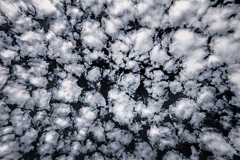 skyhimmel, fuld ramme, baggrunde, ingen mennesker, sky - himmel, himmel, lav vinkel visning, natur, skønhed i naturen, dag, ro, mønster, udendørs, overflod, scenics - natur, vækst, hvid farve, træ, plante, vinter, direkte under, 4K, CC0, offentligt domæne, royaltyfrie