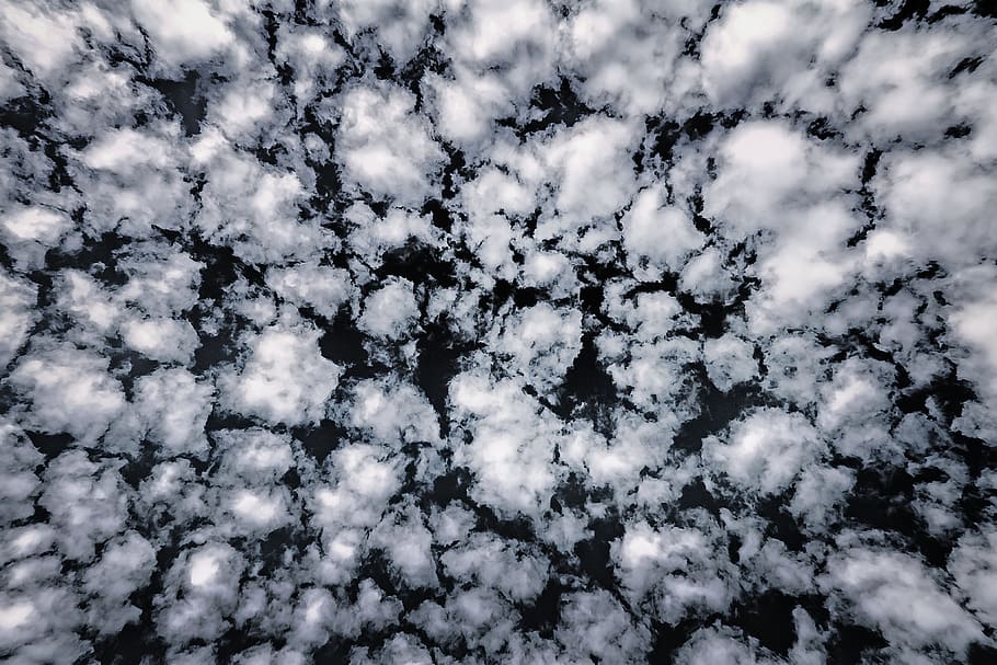 skyhimmel, fuld ramme, baggrunde, ingen mennesker, sky - himmel, himmel, lav vinkel visning, natur, skønhed i naturen, dag, ro, mønster, udendørs, overflod, scenics - natur, vækst, hvid farve, træ, plante, vinter, direkte under, 4K