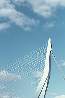 antenne, fotografering, ledninger, himmel, Sky, bro, linje, skyfri himmel, lyse, solrig, dagslys, arkitektur, blå, holland, Rotterdam, erasmus, hængebro, sky - himmel, bygget struktur, ingen mennesker, stål, udendørs, bro - menneskeskabt struktur, byggebranchen, tårn, teknologi, moderne, stålkabel, forretning, abstrakt, futuristisk, ingeniørarbejde, forsvindingspunkt, lav vinkel visning, faldende perspektiv, reb, dag, 5K, CC0, offentligt domæne, royaltyfrie