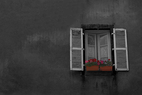 obert, blanc, finestra de persiana, gris, paret, finestra, mínim, casa, obturador, cec, planta, flor, olla, exterior, edifici, ciutat, poble, vidre, rosa, vintage, vell, hintergrund, naturalesa, arquitectura, funció de construcció de parets, exterior de l'edifici, material de fusta, cap gent, façana, estructura construïda, passat de moda, blanc i negre, a l'aire lliure, cultures, edifici residencial, estil retro, escena urbana, europa, història, brut, 5K, CC0, domini públic, lliure de regalies