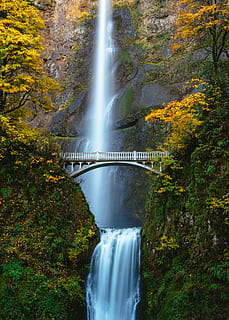 bridge, trees, scenics - nature, water, waterfall, tree, long exposure, forest, beauty in nature, flowing water, motion, plant, environment, non-urban scene, nature, no people, autumn, land, day, blurred motion, flowing, power in nature, outdoors, change, rainforest, stream - flowing water, 5K, CC0, public domain, royalty free