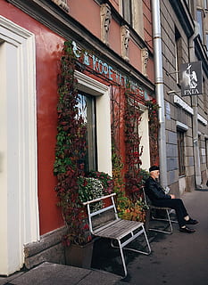 om, ședință, bancă, arhitectură, clădire, exteriorul clădirii, oraș, cafenea, lumina zilei, exterior, în aer liber, persoană, plante, relaxant, semnalizare, sta, stradă, urban, perete, ferestre, lemn, construită, scaun, fereastră, plantă, zi, casă, nici o persoana, Intrare, uşă, zonă rezidențială, natură, planta in ghiveci, masa, absență, creştere, 2K, CC0, domeniu public, fără drepturi de autor