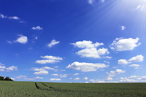 Erntefeld, sonnig, Himmel, Wolken, Desktop-Hintergründe, Umgebung, Feld, Natur, wolke - himmel, Land, Schönheit in der Natur, Landschaft, ruhige Szene, Ruhe, Szenen - Natur, Pflanze, Blau, Tag, Horizont über Land, Sonnenlicht, Horizont, ländliche Szene, Gras, keine Leute, draußen, 5K, CC0, gemeinfrei, lizenzfrei