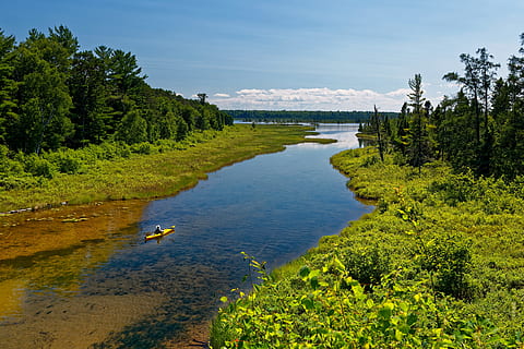 Foto, flod, omgivet, græs, skyer, dagslys, miljø, løv, Skov, kajak, ro kajak, landskab, blade, fritid, natur, udendørs, planter, afspejling, naturskøn, himmel, rejse, træer, vand, ødemark, plante, træ, grøn farve, skønhed i naturen, dag, scenics - natur, dyr, jord, vækst, ro, dyre temaer, ingen mennesker, rolig scene, hvirveldyr, ikke-urbane scene, 4K, CC0, offentligt domæne, royaltyfrie