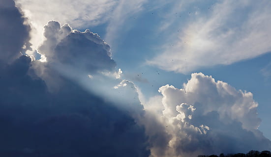 sky, clouds, sun rays, blue, nature, cloud - sky, beauty in nature, low angle view, scenics - nature, tranquility, tranquil scene, no people, white color, day, sunlight, cloudscape, idyllic, outdoors, sunbeam, backgrounds, fluffy, softness, meteorology, 5K, CC0, public domain, royalty free
