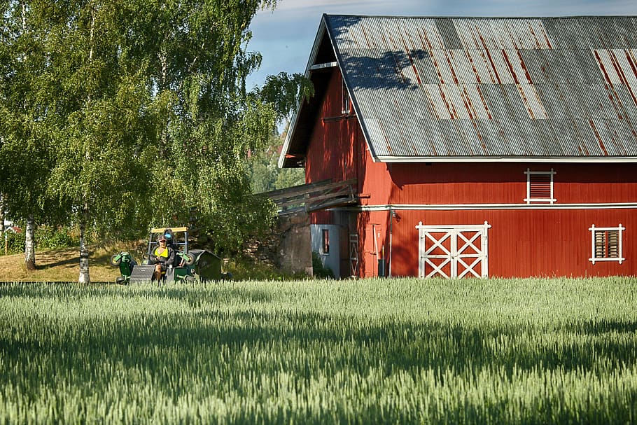 natură, fermă, arabil, plantă, arhitectură, construită, exteriorul clădirii, camp, teren, iarbă, creştere, zi, clădire, copac, oameni adevărați, casă, bărbați, rural, agricultură, ocupaţie, în aer liber, 5K
