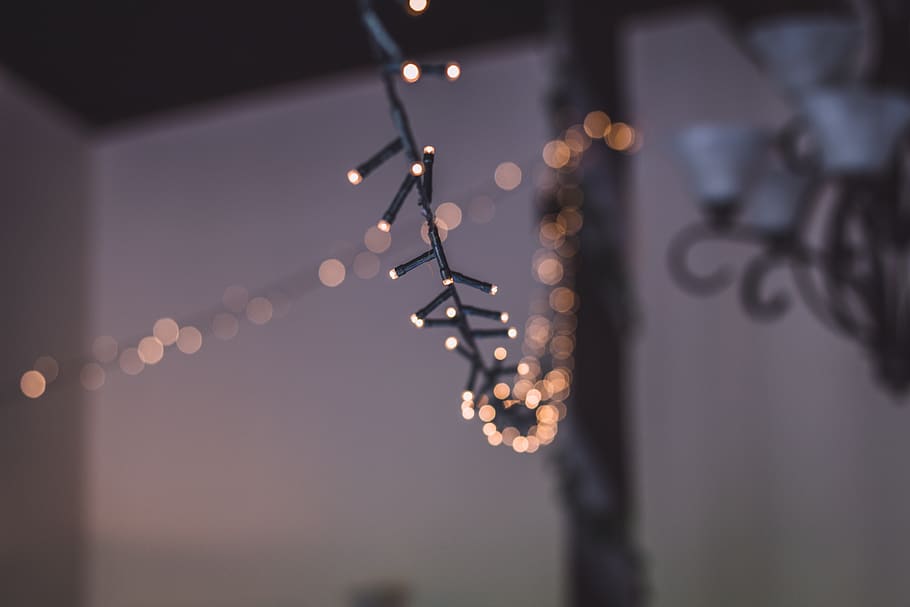 luci di boke, luce, natura, all'aperto, illuminazione, bagliore, Home decor, campanile, costruzione, guglia, architettura, Torre, luci, luci fatate, nozze, sfera, gocciolina, testo, ghiaccio, la neve, oceano, illuminato, concentrarsi sulle conoscenze acquisite, decorazione, nessuno, avvicinamento, attrezzatura per l'illuminazione, notte, messa a fuoco selettiva, celebrazione, Natale, sospeso, luci di Natale, luce - fenomeno naturale, decorazione natalizia, defocused, raggiante, crepuscolo, elettricità, riflesso lente, 5K