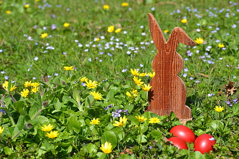 Ostern, Hase, Osterhase, Frühling, Gras, Natur, Ei, Osterthema, Ostereier, wilde Blumen, wilde Blumenwiese, Holz Kaninchen, rot, Gelb, Grün, blühen, altes Holz, bunt, Hasen Ohren, Blume, Pflanze, blühende Pflanze, Frische, keine Leute, Feld, grüne Farbe, Tag, Kreativität, Kunst und Handwerk, Wachstum, Land, Darstellung, draußen, Nahansicht, Tierdarstellung, 4K, CC0, gemeinfrei, lizenzfrei