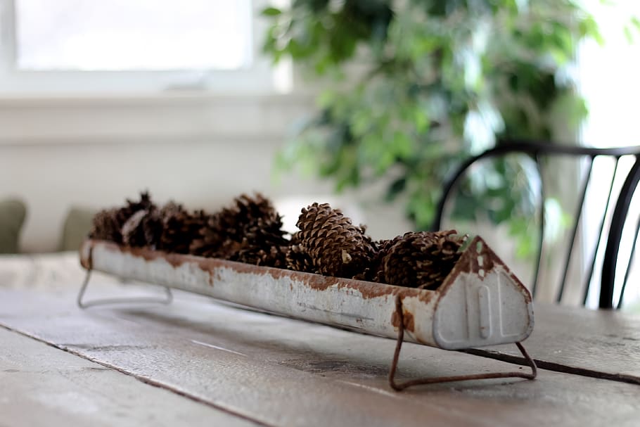 pinecones, กลางโต๊ะ, อาหาร, อาหารและเครื่องดื่ม, ขนม, ไม่มีคน, อาหารหวาน, มุ่งเน้นไปที่เบื้องหน้า, ความสด, ช็อคโกแลต, ตาราง, ในบ้าน, อบ, วัน, เค้ก, หวาน, ยังมีชีวิตอยู่, ใกล้ชิด, เลือกโฟกัส, การปล่อยตัว, สิ่งล่อใจ, ไม้ - วัสดุ, เค้กช็อคโกแลต, 4K