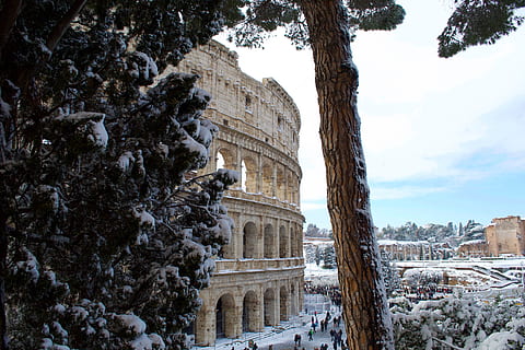 árbol, a través de, Coliseo, tiempo de día, edificio, pueblo, urbano, céntrico, ciudad, planta, arquitectura, persona, humano, Italia, Roma, abies, abeto, al aire libre, naturaleza, nieve, animal, pájaro, estructura construida, historia, el pasado, invierno, exterior del edificio, destinos de viaje, temperatura fría, viaje, día, cielo, antiguo, turismo, vieja ruina, anfiteatro, nadie, civilización antigua, arqueología, arruinado, 4K, CC0, dominio público, libre de derechos