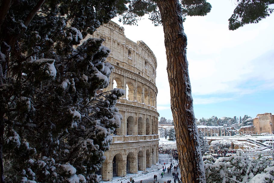 arbre, a través de, coliseum, durant el dia, edifici, ciutat, urbà, centre de la ciutat, planta, arquitectura, persona, humà, Itàlia, Coliseu, Roma, abies, avet, a l'aire lliure, naturalesa, neu, animal, ocell, estructura construïda, història, el passat, hivern, exterior de l'edifici, destinacions de viatge, temperatura de fred, viatjar, dia, cel, antic, turisme, antiga ruïna, amfiteatre, cap gent, civilització antiga, arqueologia, arruïnat, 4K