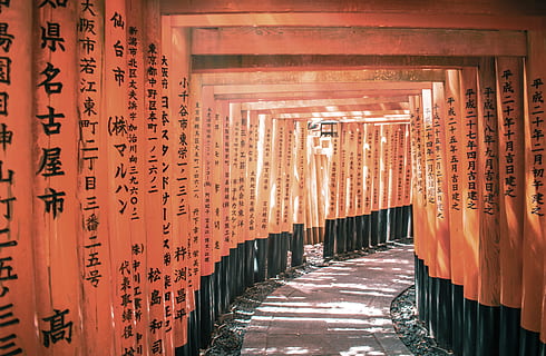 tunnel, sign, column, pillar, shrine, sunlight, path, asia, typography, orange, black, city, urban, beautiful, wallpaper, memoirs of a geisha, orange gate, japanese, asium, kitsune, shinto, kyoto City, kyoto Prefecture, japan, japanese Culture, cultures, torii Gate, east Asian Culture, chinese Culture, temple - Building, china - East Asia, fushimi Inari Shrine, buddhism, tokyo Prefecture, religion, famous Place, inari, architecture, east Asia, kanji, spirituality, indigenous Culture, chinese Script, japanese Script, history, old, ancient, gate, wood - Material, praying, travel Destinations, japanese Ethnicity, zen-like, travel, 5K, CC0, public domain, royalty free