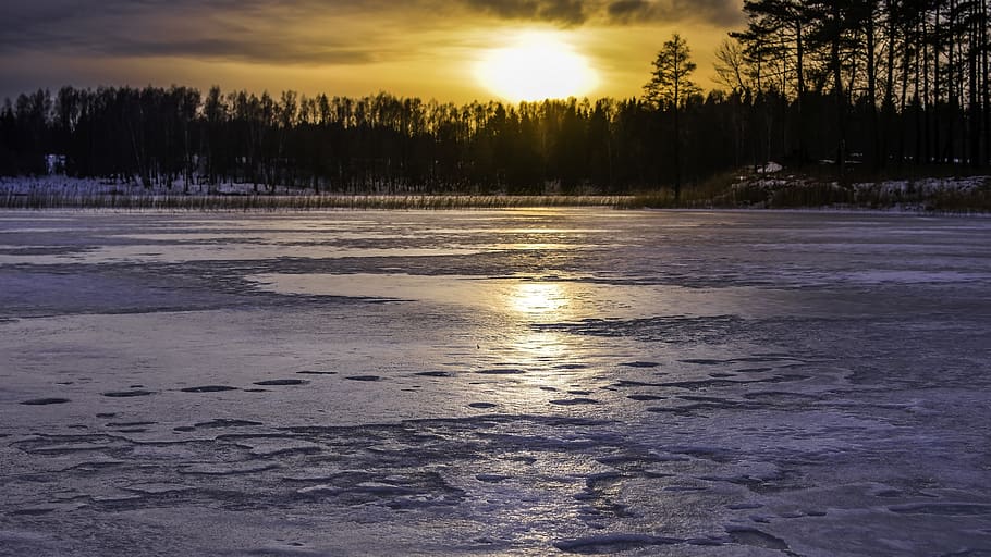 posta de sol, gel, llac, hivern, paisatge, bosc, tarda, moviment de tarda, congelat, escènic, fred, naturalesa, Lituània, plateliai, febrer, cel del capvespre, vista, assolellat, arbre, cel, bellesa a la natura, tranquil·litat, neu, temperatura de fred, escena tranquil·la, escenics - natura, planta, aigua, núvol - cel, cap gent, escena no urbana, sol, 5K