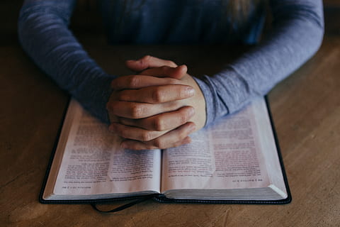studie, číst, rezervovat, bible, korán, náboženství, křesťan, muslimský, židovský, Hind, vědecké, sevřel, propletené, literatura, modlit se, jedna osoba, vydání, ruka, lidské ruky, bránice, uvnitř, stůl, dospělý, část lidského těla, hospodářství, čtení, papír, vzdělání, aktivita, učení se, detail, sedící, zaměřit se na popředí, studovat, 5K, CC0, veřejná doména, bez autorských práv