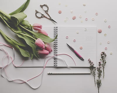 Waffen, Waffe, Stift, Klinge, Schere, Pflanze, Blumenfotografie, rosafarbene Tulpen, Rosa, Desktop, Journaling, Tagebuch, Schreibgeräte, flach liegen, Schreibtisch, Blumen-, Stillleben, Schreiben, Tulpen, Tabelle, Frische, drinnen, blühende Pflanze, Blume, Tulpe, keine Leute, Schönheit in der Natur, High Angle View, Zerbrechlichkeit, Gemüse, Natur, Verletzlichkeit, Nahansicht, Blütenblatt, grüne Farbe, Pflanzenteil, 4K, CC0, gemeinfrei, lizenzfrei