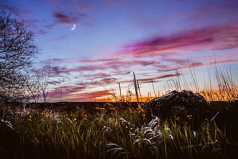 Grün, Gras, Mondschein Himmel, Mond, Himmel, Star, Wolke, Baum, Horizont, Rock, Feld, dunkel, nahe, Langzeitbelichtung, lila, Blau, Orange, Natur, Landschaft, Tapete, hd Hintergrund, Hintergrund, Pinoy jl, Sonnenuntergang, Dämmerung, draußen, Nacht-, szenen, Sonne, wolke - himmel, Sonnenaufgang - Morgendämmerung, Sommer-, Sonnenlicht, Schönheit in der Natur, ländliche Szene, Pflanze, Wiese, Hintergründe, Jahreszeit, Wolkengebilde, Morgen, Licht - natürliches Phänomen, Nicht-städtische Szene, Gelb, rot, keine Leute, mehrfarbig, ruhige Szene, Sonnenstrahl, 8K, CC0, gemeinfrei, lizenzfrei