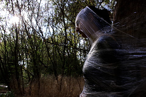 soffocamento, pianeta solitario, plastica, Aiuto, albero, pianta, giorno, foresta, terra, nessuno, natura, acqua, movimento, la tranquillità, crescita, scenics - natura, lunga esposizione, bellezza nella natura, all'aperto, scena non urbana, acqua corrente, movimento sfocato, scena tranquilla, fluente, 5K, CC0, dominio pubblico, privo di copyright