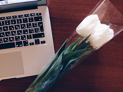 macbook, laptop, computer, technology, business, desk, tulips, flowers, spring, table, indoors, no people, close-up, flower, high angle view, flowering plant, still life, communication, freshness, paper, wood - material, wireless technology, plant, text, keyboard, connection, flower head, 1080P, CC0, public domain, royalty free