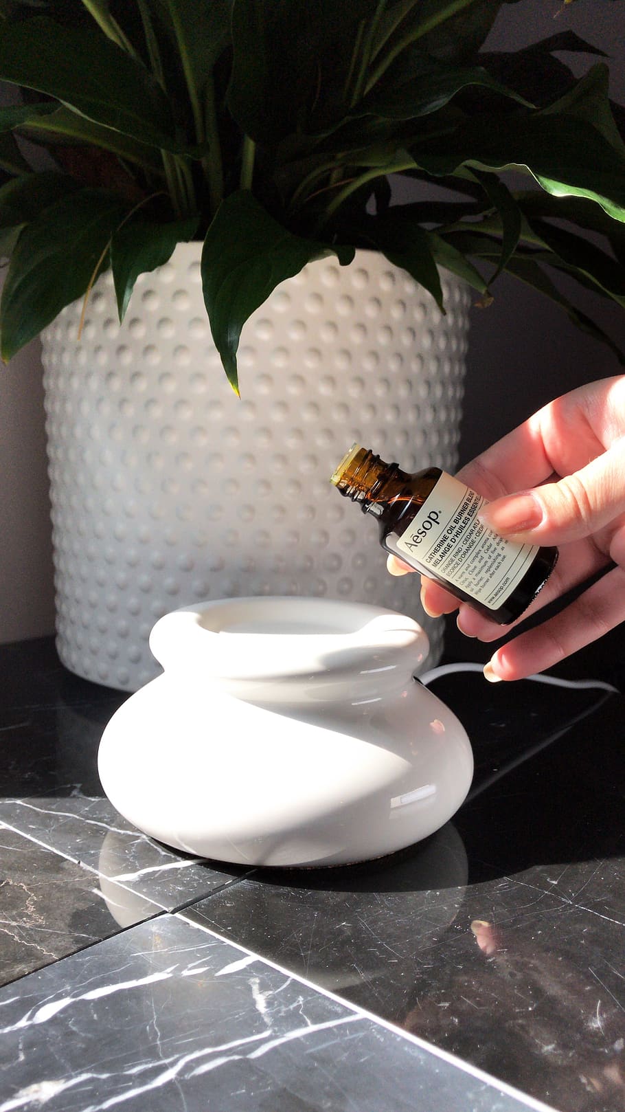 vaso in ceramica bianca, pianta, umano, persona, dito, fiorire, fiore, vaporizzatore elettrico, cucina, oli di petrolio, doTERRA, olio di lavanda, olio dell'albero del tè, ylang ylang, olistica, guarigione olistica, medicina alternativa, diffusore d'olio, aromaterapia, Olio essenziale, mano umana, mano, persone reali, una persona, parte del corpo umano, detenzione, in casa, stili di vita, persona irriconoscibile, avvicinamento, parte del corpo, attività di svago, comunicazione, natura, dito umano, tavolo, giorno, arto umano, 2K