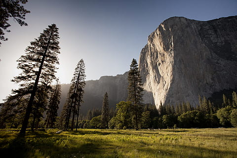 landscape, grass, trees, cliffs, rocks, park, nature, outdoors, sunshine, sunny, blue, sky, tree, plant, beauty in nature, scenics - nature, land, tranquility, environment, forest, tranquil scene, mountain, no people, coniferous tree, non-urban scene, pine tree, growth, day, woodland, pine woodland, evergreen tree, 5K, CC0, public domain, royalty free