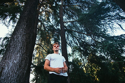 home, de peu, arbre, humà, gent, persona, Itàlia, milano, parc sempione, planta, flora, sequoia, conífera, naturalesa, bosc, vegetació, terra, a l'aire lliure, esports, trotar, entrenant, esport, tronc de l'arbre, tronc, una persona, persones reals, activitat d'oci, estils de vida, mirant la càmera, creixement, retrat, roba casual, dia, adult jove, vista frontal, 5K, CC0, domini públic, lliure de regalies
