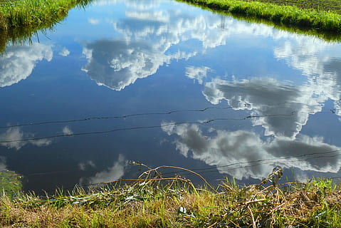 riflessione, olandese, nuvole, erba, natura, siero, riflettere, acqua, pianta, lago, nuvola - cielo, bellezza nella natura, la tranquillità, giorno, nessuno, albero, scena tranquilla, cielo, scenics - natura, all'aperto, crescita, scena non urbana, luce del sole, 2K, CC0, dominio pubblico, privo di copyright