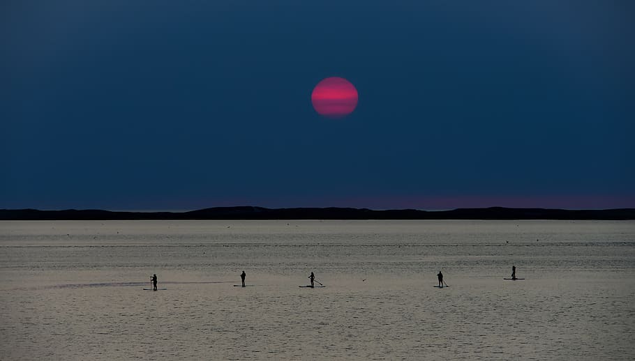 posta de sol, mar, paleta, sup, paleta de peu, crepuscle, tarda, paisatge, illes de la madeleine, québec, Canadà, cel, escenics - natura, naturalesa, bellesa a la natura, aigua, terra, escena tranquil·la, silueta, tranquil·litat, cel clar, lluna, platja, a l'aire lliure, horitzó, medi ambient, idíl·lic, dia, lluna plena, 5K