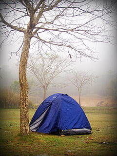 biru, tenda kubah, telanjang, pohon, Latar Belakang, awan, warna, lingkungan Hidup, berkabut, rumput, hijau, pemandangan, taman, tenda, cuaca, liar, margasatwa, musim dingin, kayu, hutan, menanam, berkemah, tanah, pohon telanjang, adegan yang tenang, ketenangan, alam, bidang, langit, keindahan di alam, scenics - alam, petualangan, tidak ada orang, terpencil, di luar rumah, 2K