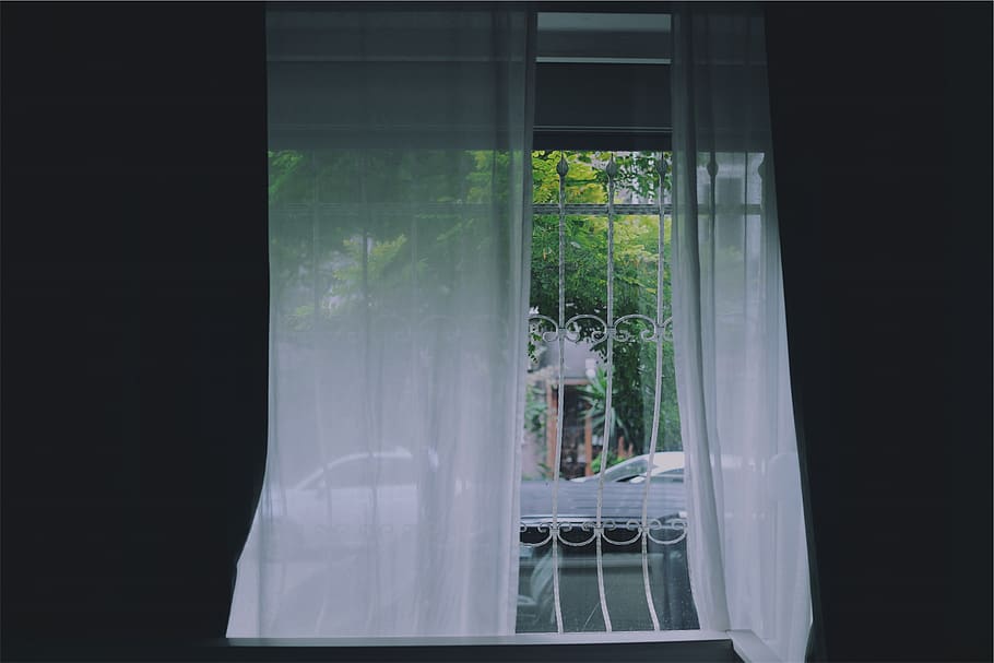 cortines, finestra, habitació, vidre - material, transparent, cap gent, planta, cortina, dia, arquitectura, a l'interior, estructura construïda, creixement, naturalesa, arbre, color verd, tèxtil, edifici, balcó, marc de finestra, 1080P