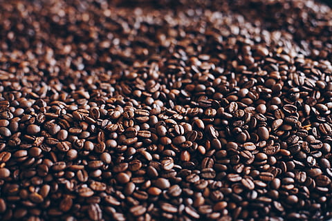 nærbilde fotografering, bakt, kaffebønner, aromatiske, bønner, uklarhet, koffein, nærbilde, kaffe, fokus, bunke, stekt kaffebønner, brun, bakgrunn, kaffe - drikke, stor gruppe gjenstander, stekt kaffebønne, mat og Drikke, friskhet, overflod, full ramme, mat, ingen folk, innendørs, stilleben, selektiv fokusering, drikke, høy vinkel visning, teksturert effekt, 2K, CC0, offentlig domene, opphavsrett gratis
