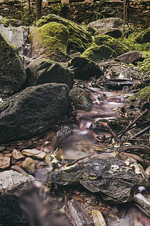 billede af stream, miljø, flyde, Skov, landskab, lang eksponering, mos, mossy klipper, natur, klipper, naturskøn, sten, strøm, tidsforskydning, vand, klippe, rock-objekt, plante, solid, træ, ingen mennesker, skønhed i naturen, dag, jord, ro, tæt på, flydende vand, vækst, udendørs, bevægelse, flyder, strøm - rindende vand, 5K, CC0, offentligt domæne, royaltyfrie