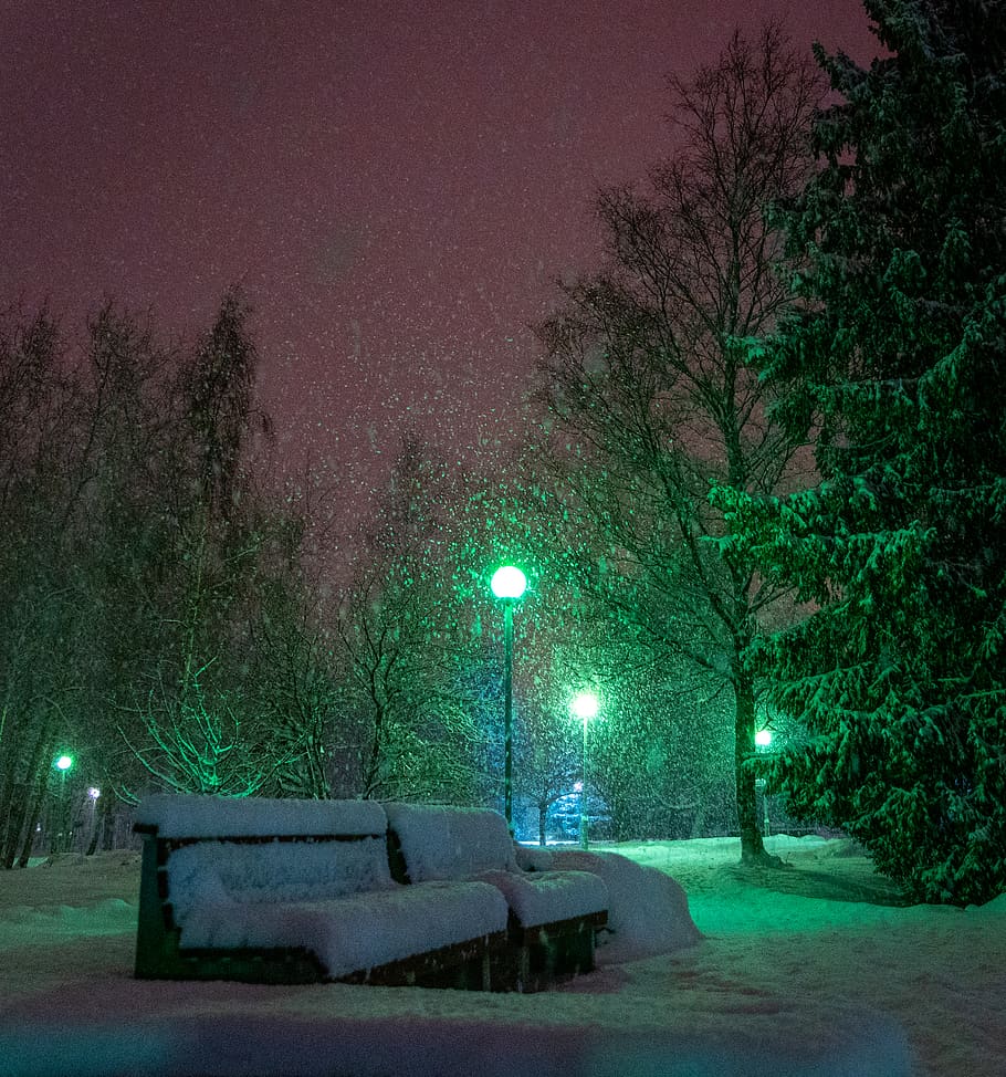 banc, cobert, neu, fred, tarda, nevat, temps, hivern, arbre, nit, il·luminat, planta, equips d’il·luminació, cap gent, temperatura de fred, naturalesa, llum del carrer, carrer, parc, absència, cel, a l'aire lliure, vespre, buit, llum, 4K