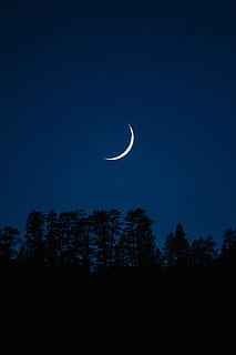 光, 自然, 夜, ダーク, 三日月, 日食, ルナ, 月, 月光, 屋外, 風光明媚な, シルエット, 木, 空, スペース, 天文学, 自然の美しさ, 工場, 風景 - 自然, 静けさ, ローアングルビュー, 無人, 静かな情景, 青, コピースペース, 科学, 1080P