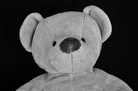 ted, teddy, beer, speelgoed-, spul, gevuld, zacht, kinderjaren, studio opname, pluche speelgoed, vertegenwoordiging, knuffelbeer, zwarte achtergrond, binnenshuis, detailopname, portret, mensen, hoofdschot, kind, menselijk lichaamsdeel, enkel object, zachtheid, onschuld, 4K, CC0, publiek domein, royaltyvrij
