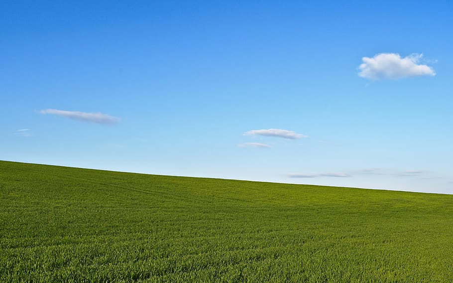 nube, nuvole, Paradiso, cielo, blu, verde, paesaggio, natura, campagna, primavera, nuvola - cielo, pianta, ambiente, bellezza nella natura, terra, campo, erba, colore verde, la tranquillità, scena tranquilla, scenics - natura, orizzonte, giorno, nessuno, orizzonte sopra terra, agricoltura, all'aperto, 5K
