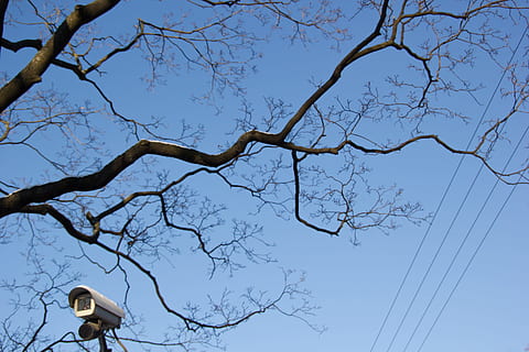 sichern, schützen, cctv, bewachen, Blau, Aufzeichnung, elektronisch, Himmel, sicher, Video, Ast, Kamera, erkennen, prüfen, schwarz, Sicherheit, Baum, Flachwinkelansicht, Natur, Pflanze, kahler Baum, klarer Himmel, keine Leute, Tag, draußen, Kabel, Elektrizität, Schönheit in der Natur, Szenen - Natur, Stromleitung, Lichtanlage, Straße, Ruhe, Netzteil, 2K, CC0, gemeinfrei, lizenzfrei