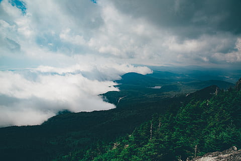 boom, bomen, berg-, bergen, Bos, wild, wildernis, bergbeklimmer, alpinisme, heuvels, glooiende heuvels, wolken, bewolkt, storm, bewolking, zwoel, humeurig, humeur, rondrit, reizen, wolk - lucht, schoonheid in de natuur, scenics - natuur, hemel, rustige scène, kalmte, niet-stedelijke scène, geen mensen, natuur, landschap, milieu, dag, fabriek, idyllisch, bergketen, groene kleur, afgelegen, buitenshuis, 1080P, CC0, publiek domein, royaltyvrij