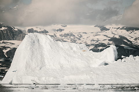 witte sneeuwveld, natuur, buitenshuis, ijs-, sneeuw, berg-, gletsjer, ijsberg, winter, lawine, bergketen, platteland, gebouw, landelijk, schuilplaats, structuur, wit, koepel, architectuur, dieren in het wild, beer, koude temperatuur, milieu, scenics - natuur, landschap, schoonheid in de natuur, hemel, kalmte, wolk - lucht, bevroren, rustige scène, met sneeuw bedekte berg, witte kleur, dag, geen mensen, 5K, CC0, publiek domein, royaltyvrij