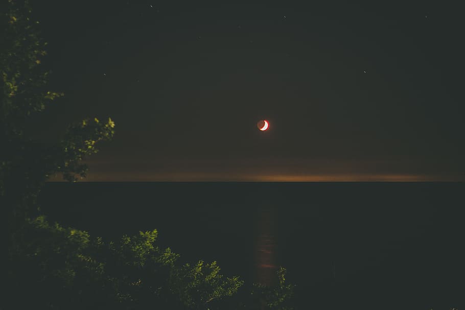 Canada, Goderich, lago, alberi, notte, Luna, acqua, pianta, albero, bellezza nella natura, la tranquillità, scenics - natura, cielo, natura, scena tranquilla, nessuno, idilliaco, all'aperto, riflessione, Luna piena, buio, copia spazio, chiaro di luna, 5K