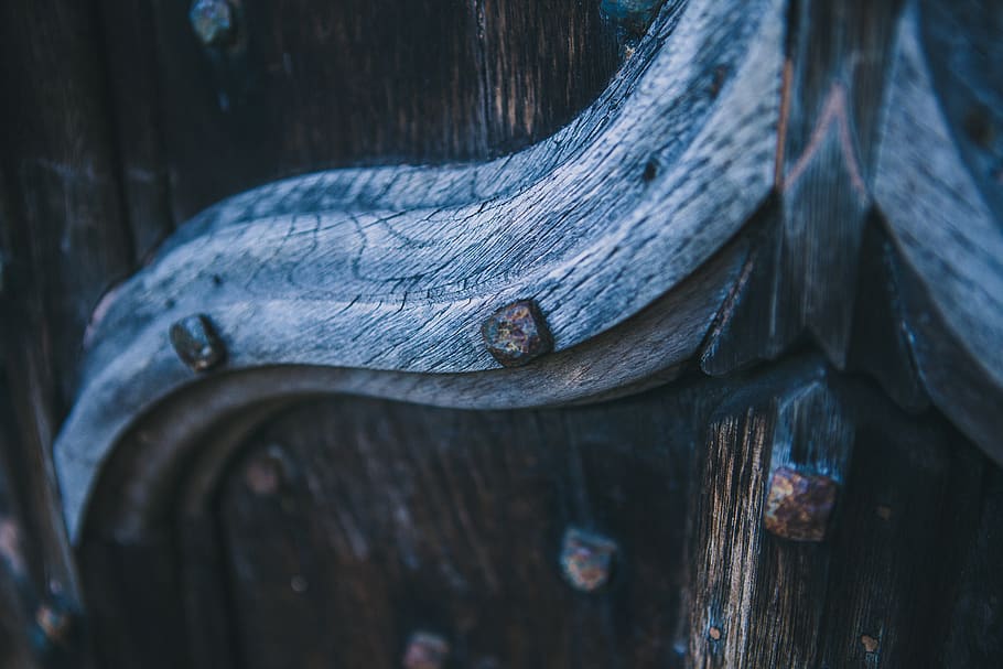 fusta, gra, material de fusta, cap gent, arbre, primer pla, textura, metall, dia, enfocament selectiu, centrar-se en primer pla, a l'aire lliure, patró, tronc de l'arbre, registre, naturalesa, resistent, vell, fauna animal, animal, tronc, roda, post de fusta, 5K