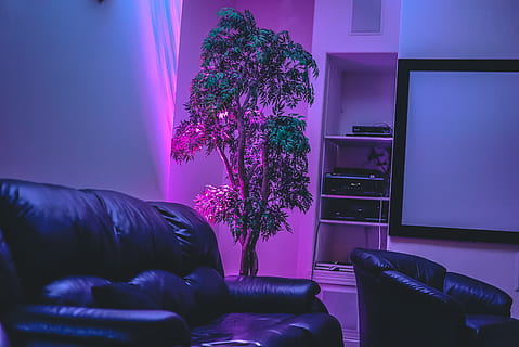 lavoro, posto di lavoro, albero, mobilia, in casa, divano, stanza domestica, pianta, viola, interno di casa, soggiorno, nessuno, notte, posto a sedere, illuminato, interno vetrina casa, ripieni, sedia, set televisivo, tavolo, rilassamento, cuscino, confortevole, 4K, CC0, dominio pubblico, privo di copyright