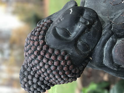 Budda, concentrarsi sulle conoscenze acquisite, avvicinamento, arte e artigianato, nessuno, scultura, rappresentazione, giorno, statua, creatività, mestiere, rappresentazione umana, all'aperto, natura, modello, somiglianza maschile, vecchio, fauna selvatica, design, 4K, CC0, dominio pubblico, privo di copyright