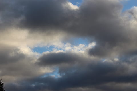 nuvole, nuvole scure, nuvole basse, nuvola - cielo, cielo, bellezza nella natura, natura, Inquadratura dal basso, tempesta, nessuno, Cloudscape, scenics - natura, cielo drammatico, nuvoloso, giorno, nuvola temporalesca, all'aperto, cielo lunatico, sfondi, la tranquillità, ambiente, soffice, vento, infausto, meteorologia, 5K, CC0, dominio pubblico, privo di copyright