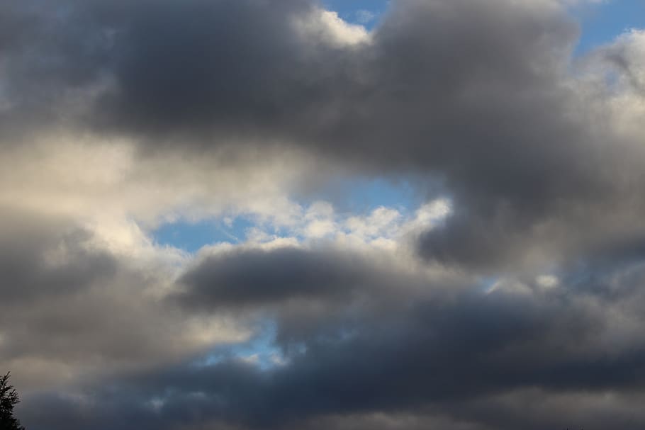 nuvole, nuvole scure, nuvole basse, nuvola - cielo, cielo, bellezza nella natura, natura, Inquadratura dal basso, tempesta, nessuno, Cloudscape, scenics - natura, cielo drammatico, nuvoloso, giorno, nuvola temporalesca, all'aperto, cielo lunatico, sfondi, la tranquillità, ambiente, soffice, vento, infausto, meteorologia, 5K
