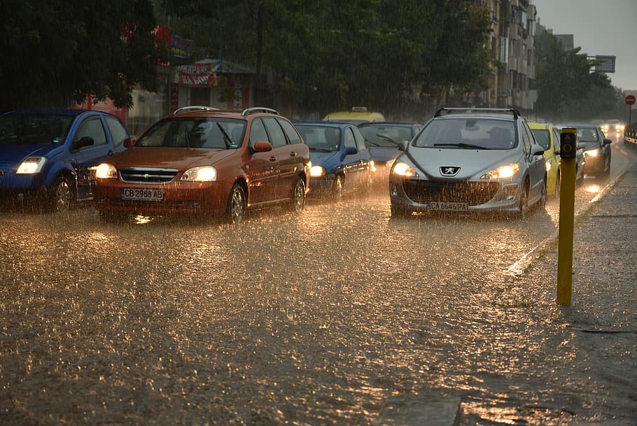 bulgària, sofia, sofia centre, carrer, trànsit, pluja, llums, tarda, aigua, inundació, manera de transport, transport, automòbil, cotxe, vehicle terrestre, il·luminat, ciutat, arbre, carretera, planta, cap gent, naturalesa, humit, arquitectura, a l'aire lliure, en fila, 5K