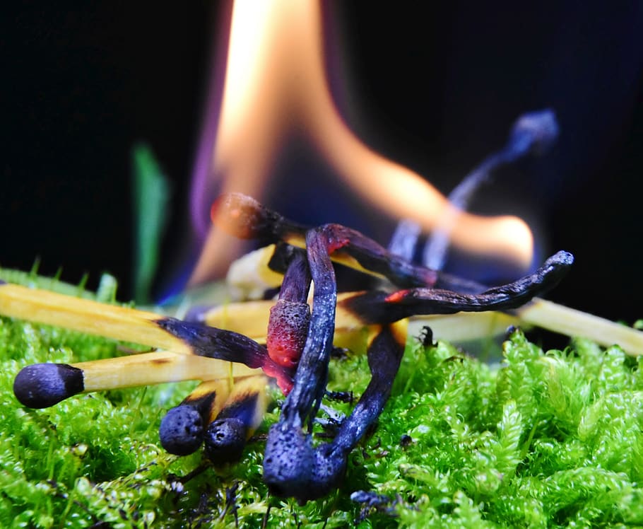 ild, flamme, match, brænde, tænding, lighter, kamphoved, svovl, tæt på, forbrændinger, sort, brandfare, sommer, Skov, varme, skovbrand, gløder, ilden, brænding, brand - naturligt fænomen, varme - temperatur, natur, mad, friskhed, glødende, mad og drikke, ingen mennesker, indendørs, belyst, fokus på forgrunden, lys, selektiv fokusering, grøn farve, tændstik, smeltning, 2K
